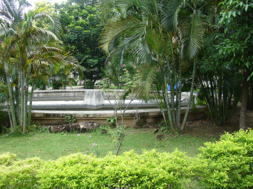 DSC03284