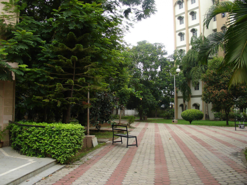 DSC03286
